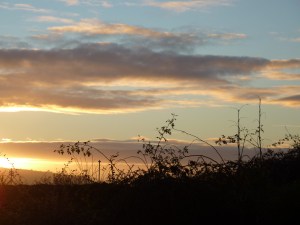 P1220753
