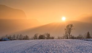 The sun rises over the silhouettes of trees, on the edge of a snow-covered field.